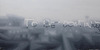 20130221090428-galerie_akinci_untitledtbc100x200oil2013_9