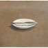 20130221201149-vijacelmins-untitled-1964-lama