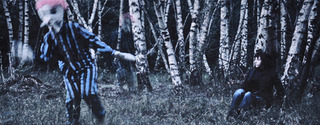 Pathetic meeting in the silver birch forest,Jonathan Delachaux