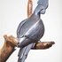 20130222112600-parrot_michaelsimek2013artistsrightssocietyofkovarstvipb