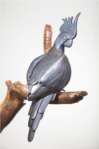 20130222112600-parrot_michaelsimek2013artistsrightssocietyofkovarstvipb