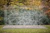 20130222155948-x_jc_midd_gormley121113_22