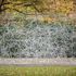 20130222155948-x_jc_midd_gormley121113_22
