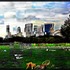 20130222212547-image