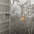 20130222222418-image