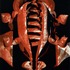 20130223200538-jgondek_fuseepod