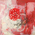 20130223230738-poloto_wildflower