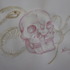 20130224010654-macabre