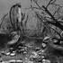 20130224030152-4_habitorium_firepit2