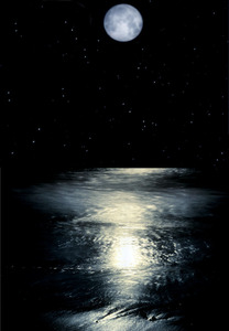 20130224225234-ocean123
