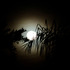 20130225054821-amanda_unzueta_2731_resize