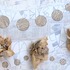 20130226045422-katecarvellas_progressionperceivedcropped
