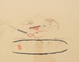Untitled,Hemali Bhuta