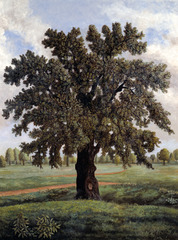 An English Oak Tree,Stephen McKenna