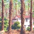 20130227020135-house_among_date_palms_in_indio_faa