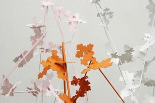 ,Amanda Wojick