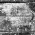 20130228024633-floored-hodgkinson-300x225