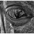 20130228030621-i_see_you