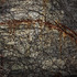 20130301173836-vine-final-sm