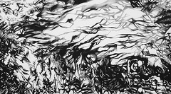 20130301201338-theface77x42charcoalsarahhreynolds