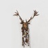20130302024454-215-deer