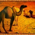 Framephoto21