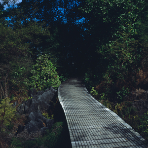 20130302115405-pasarelanz