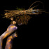 20130302165940-web_cosechando_ideas