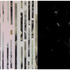 20130303003615-00820130303