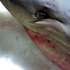20130303161541-still_looking_at_me