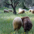 20130303170209-garden_party