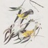 20130304025726-warbling