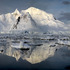 20130304041013-ant_1003__antarctica__1-2