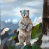 20130304175446-tarina_valkoisesta_karhusta___jy__100_x_200cm