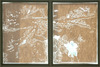 20130304233318-00320130305