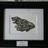 20130304234438-fish_head