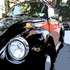 20130305010447-wate_bug