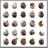20130305112018-snail14001web
