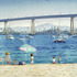 20130305203114-coronado_beach___navy_ships_faa