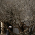 20130306135425-kor__5351