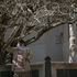 20130306135822-kor__5805