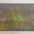 20130306231053-god_s_instinct_flowers