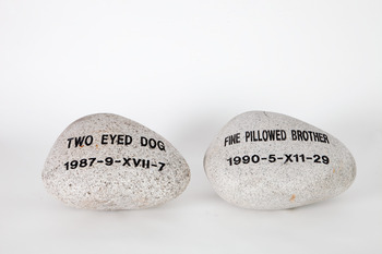 20130307021235-twoeyeddog