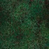 20130307190612-growth_pattern_19