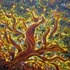 20130307213552-manzanita_new__reduced