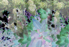 20130308045140-hydr_surprise