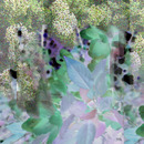20130308045140-hydr_surprise
