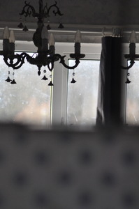 20130308100515-dsc_0096