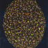 20130308223810-the_late_faberge