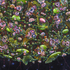 20130308224436-the_late_faberge__detail_